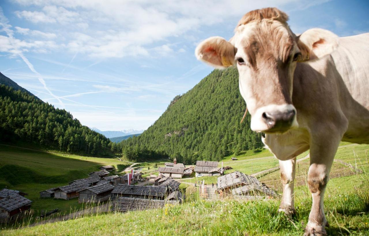 مارانزا Aparthotel Panorama Living Dolomites المظهر الخارجي الصورة